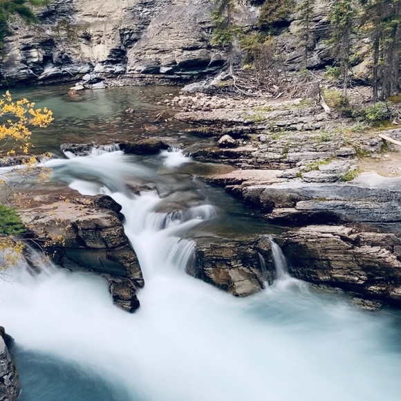 Meet your Posher, Joan - Picture 4 of 10